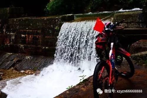 动物帮帮忙保卫家园